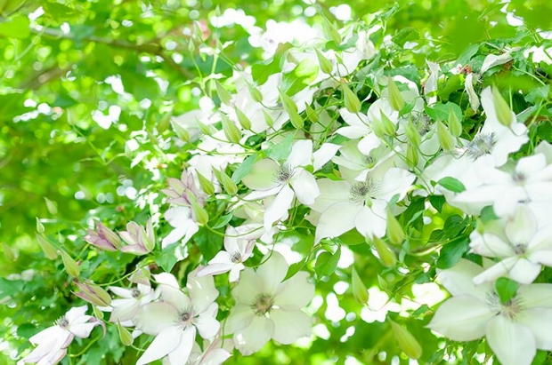 ��Ϸ̾�Ԥβ�