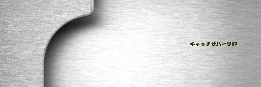 座間市 バンド キャッチ座ハーツ