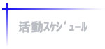 活動スケジュール